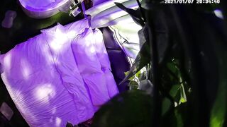 主题酒店按摩浴缸绿叶房秃顶哥和朋友的媳妇开房偷情前后草