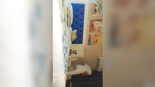 【野狼出击探花】，今夜楼凤上门，良家下海没多久，甜美大胸，温柔小姐姐遇到打桩机，老王大展神威持续输出