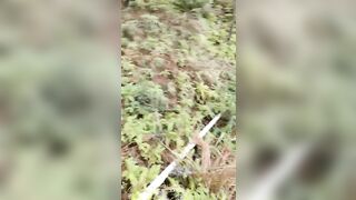 小胖哥偸情漂亮苗条小姨子户外山上野战扶着树后入搞的正在性头上被路人打断吓尿了赶紧换个地方继续搞