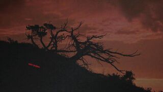 极品大尺度SM,国产剧情《烈火红梅》地下交通员江咏梅被国民党特务严刑拷打