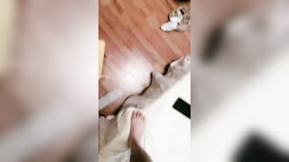 【麻花免费视频】大二学舞蹈贫乳大长腿颜值美女啪啪，隔着牛仔短裤摸逼萝莉蹲，穿上黑色网袜翘起双腿揉穴，第一视角抽插妹子很享受