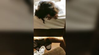 【麻花免费视频】【人送外号陈冠希】，泡良大神，最新斩获良家小少妇，酒店开房啪啪，大胸肤白极品尤物，精彩佳作撸管必备