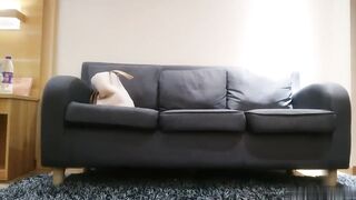 【麻花免费视频】午夜尋花約炮女仆裝初戀女神給你初戀女友感覺