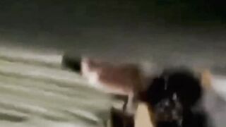 【麻花免费视频】【全网都在找】北京工业大学401教室+烟台科技学院画室事件完整原版