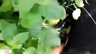 【麻花免费视频】【独家爆料】被骗到柬埔寨轮奸强奸噶腰子，凌辱虐待受尽折磨