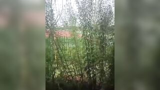 【麻花免费视频】爆乳女神【果如CC】高价定制户外茄子插入，高潮喷水，这是个奇葩