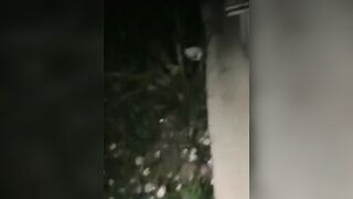 【骚劲小妖精】户外车后座拨开内裤露逼，下车脱光光口交啪啪抱起来干，很是诱惑喜欢不要错过