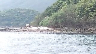 这种风格的片子肉欲浓郁四级大尺度丰满美女啪啪搞穴作品《狗仔队模特儿卖淫高清版》激情佳作 逼毛鸡动啊